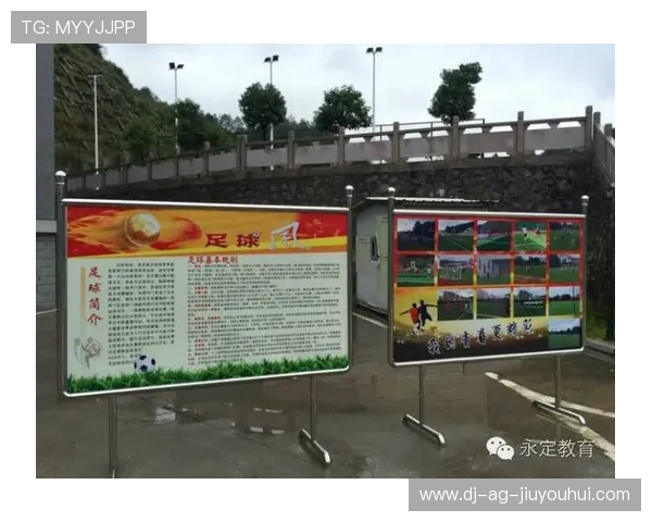 郴州校园足球训练体系优化与青少年竞技能力提升路径研究的策略探讨